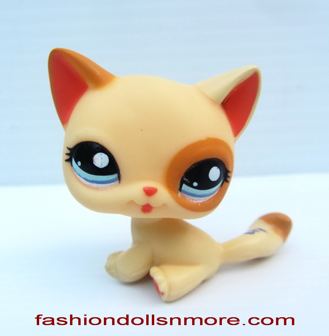 Littlest Petshop chat siamois #664 beige rosé yeux bleu Hasbro authentique